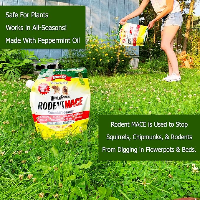 Nature’s MACE Rodent Repellent 6 lb Covers 1,000 Sq. Ft., Rodent Repellent Outdoor, Keep Mice Rats Rodents Out of Home, Garage, Attic, Peppermint Spray Blend for Rodents, Safe Around Kids