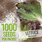 Seed Needs Romaine Lettuce Seeds Variety Pack for Planting a Collection of 2 Individual Varieties - Packets Include Red Romaine & Parris Island COS