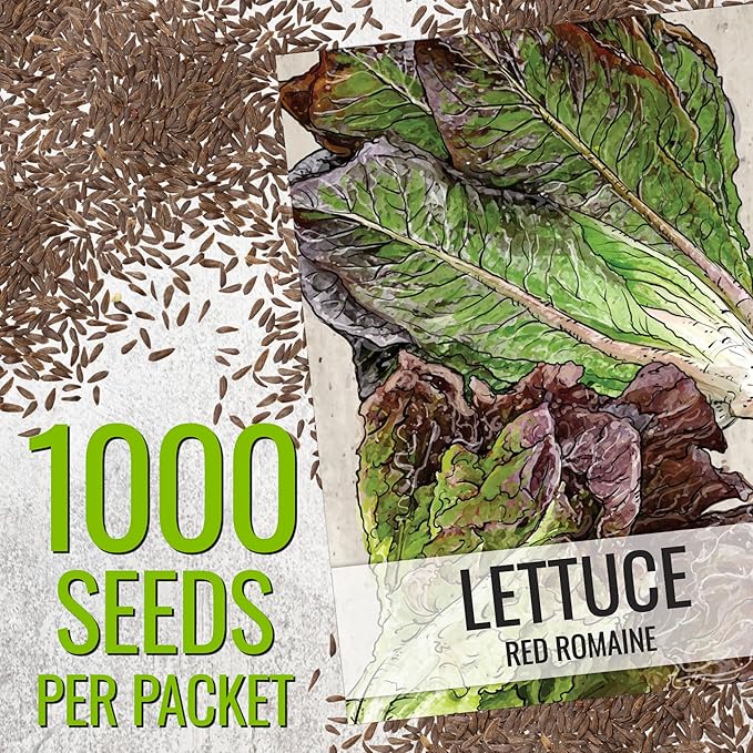 Seed Needs Romaine Lettuce Seeds Variety Pack for Planting a Collection of 2 Individual Varieties - Packets Include Red Romaine & Parris Island COS