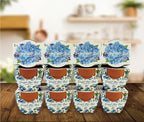 BUZZY Seeds Mini Terracotta Pots 12-Pack Daydream Forget-Me-Not Flowers, All-in-One Seed Starter Kits, Indoor Outdoor Gardening Gift, Wedding Favors, Seeds for Planting Flowers