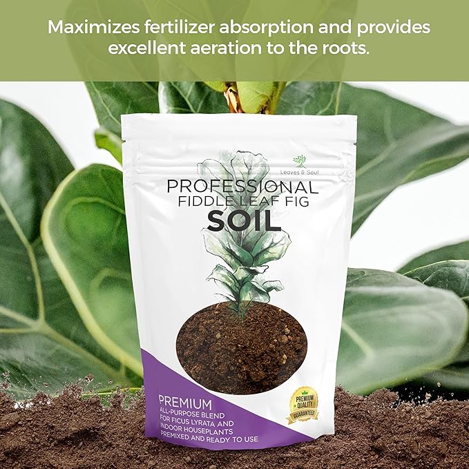 Professional Fiddle Leaf Fig Soil Mix Ready to Use Extra Large 8.2 Quarts, Premium Potting Soil for Fiddle Leaf Fig Indoor Houseplants, Peat Sawdust Coarse Sand Pinebark Made in USA