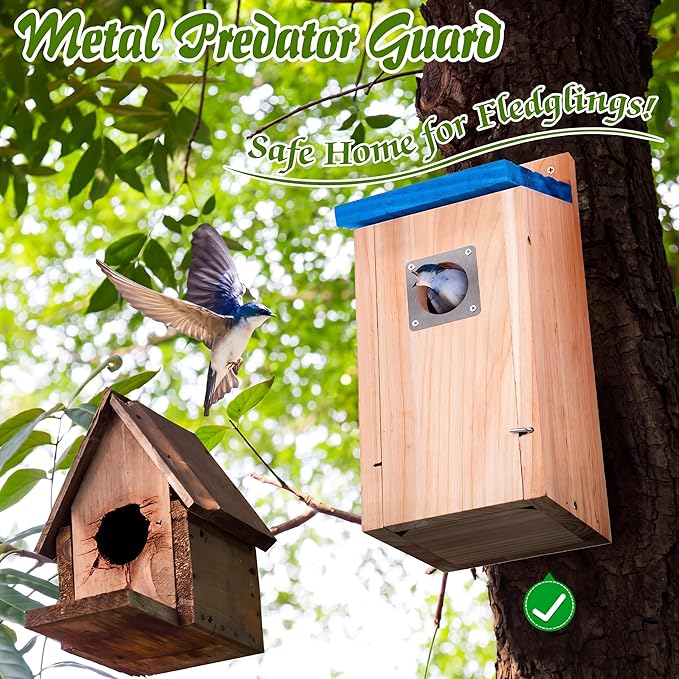Dreyoo 2 Pack Bluebird Box Houses for Outside,1-1/2'' Entrance Hole Wooden Bird Houses with Metal Guard, Secure Latch,Fledgling Grooves,Air Vents for Bluebird Wren Swallow(Blue Roof, Wood Body)