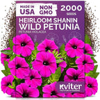 KVITER 2000 Shanin Wild Petunia Seeds for Planting (Pеtuniа viоlacea) – Violet Petunia Seed Packets Bulk – Annual Purple Flower Seeds to Plant Outside in Hanging Baskets, Flower Garden, Containers