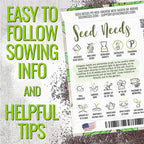 Seed Needs Sweet Basil & Italian Oregano Seeds for Planting Fresh Kitchen Herbs - Non-GMO Heirloom & Untreated Perennial & Annual Herb Seed to Plant a Culinary Garden Indoors or Outdoors (2 Pack Duo)