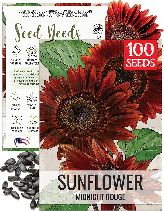 Seed Needs Midnight Rouge Sunflower Seeds for Planting Red Branching Sunflowers - Heirloom & Open Pollinated Flower Seed to Plant an Outdoor Wildflower Butterfly Garden (1 Pack)