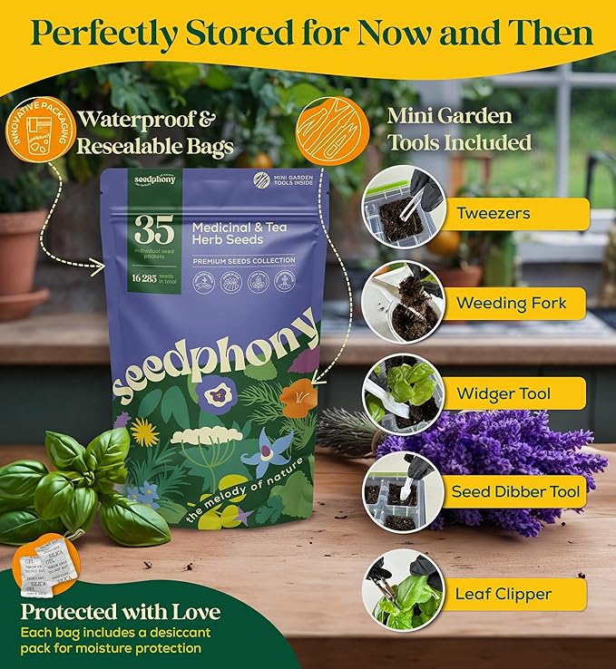 Seedphony 35 Medicinal & Tea Herb Seeds Variety Pack - 16,285+ Non-GMO Heirloom Herbs Seeds for Planting Indoor & Outdoor: Lavender, Rosemary, Echinacea, Mint, Catnip, Basil - Gardening Seed Packets