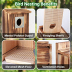 Bird Houses for Outside with Metal Predator Guard for Bluebird Wren Swallow Finch, Carbonized Wooden Nesting Boxes for Outdoor, Sturdy Bird House,Easy to Clean