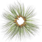 ragnaroc Air Plants Bulk - Tillandsia Juncea Wholesale, Jumbo 8-12" - 30ct - Live Arrival Guaranteed - House Plants for Home Decor & Gift