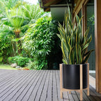 D'vine Dev Planter Pot with Stand - 14 Inch Plastic Cylinder Flower Pot with Wood Planter Holder for Indoor, Matte Black Pot + Natural Stand, 55-C-S-2