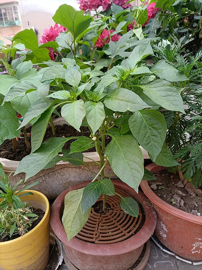 Plant Pot Grid Flower Pot Cover Baby Safety to Protect Children Pets Plant Black 20.8" Pack of 2