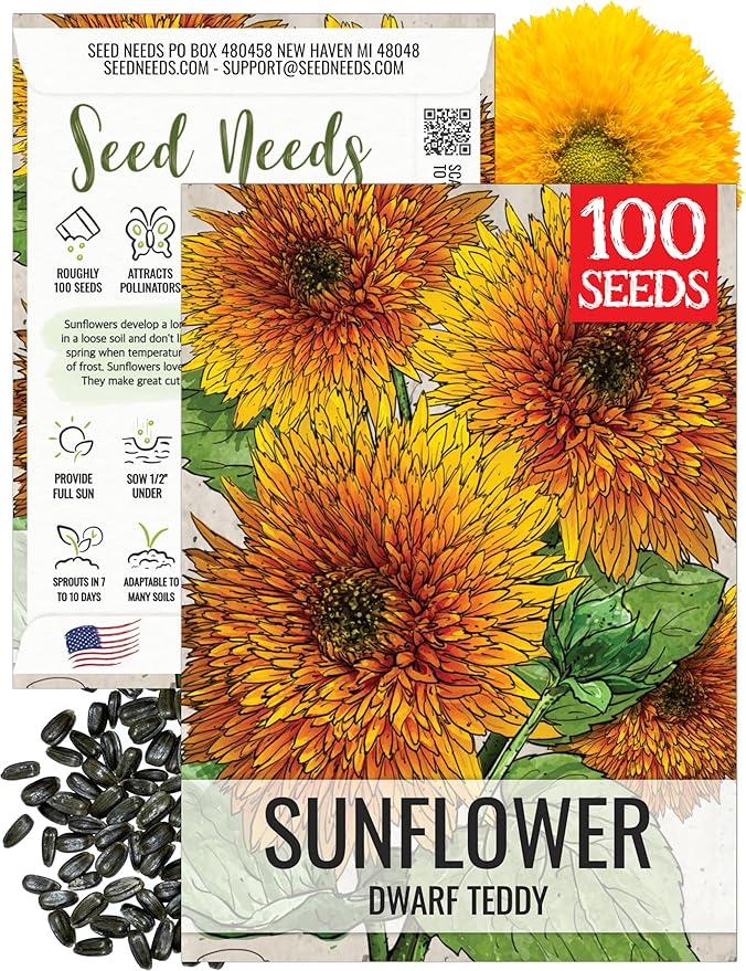 Seed Needs Dwarf Teddy Sunflower Seeds for Planting Dwarf Sungold Sunflowers - Heirloom & Open Pollinated Flower Seed to Plant a Butterfly Garden (1 Pack)
