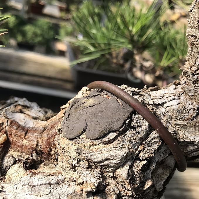 Bonsai Cut Paste for Deciduous - 160 Grams + Made in Japan, Pruning Sealer for an Injury to The Bark, Putty Based Wound Sealant for Perimeter Cuts to The Tree