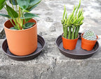 LWALRS Plant Saucer 14 Inch 2 Pack 6 8 10 12 14 16 18 20 25, Plastic Plant Trays for Pots，Extra-Deep Plant Water Dray Tray, Bird Bath Bowl, Heavy Flower Plant Saucers Indoors and Outdoor No Holes
