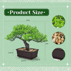 Der Rose 8 Inch Artificial Bonsai Tree Small Fake Plants Decor for Bathroom Office Desk Table Shelf Japanese Zen Ficus Decor Indoor