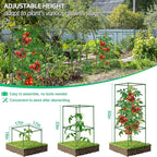 WLLEYAY 3 Pack Tomato Cages, Square Tomato Plant Stakes Support Cages Trellis, 50 * 17 * 17in Heavy Duty Steel Plant Tower Stakes Cucumber Trellis for Garden Climbing Vegetables Flowers Fruits, Bold