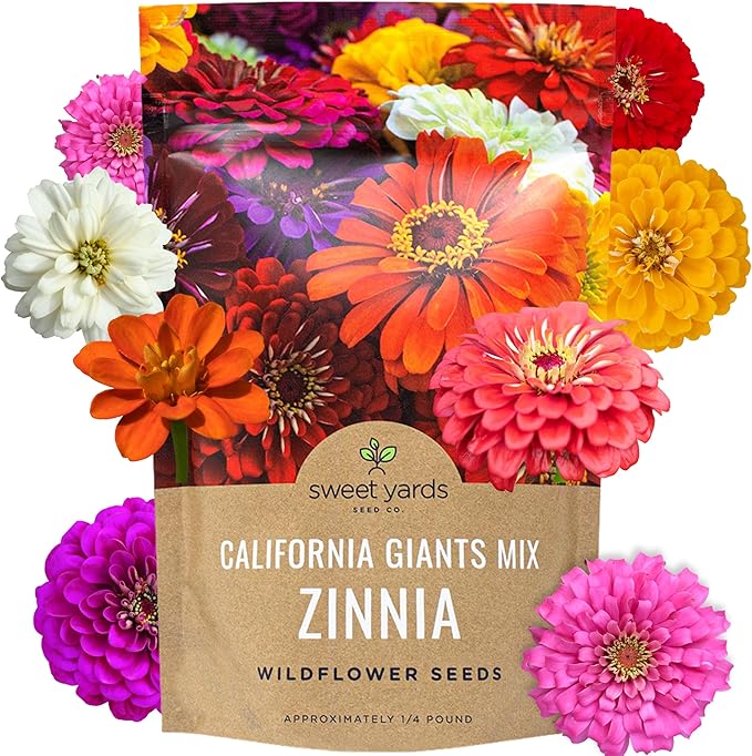 Bulk Zinnia Seeds - California Giants Mix - 1 Pound Bag Over 48,000 Flower Seeds - Mixed Colors and Large Blooms