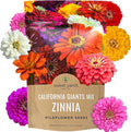 Bulk Zinnia Seeds - California Giants Mix - 1 Pound Bag Over 48,000 Flower Seeds - Mixed Colors and Large Blooms