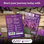 KVITER 600 Marsh Blazing Star Seeds for Planting (Liatris Spicata) – Gayfeather Dense Meadow Blazing Star Seed Packet – Heirloom Seed, Perennial Wildflower Seeds Bulk for Garden, Containers, Outdoors