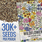 Seed Needs 2 Ounce Low Growing Wildflower Flower Seeds for Planting | Mixture/Blend 17 Varieties | Resealable Package Multicolored Blooms Open Pollinated Mixed Species | Bulk