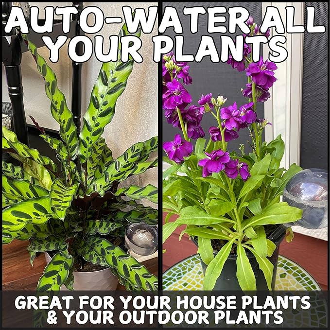 Water Globes for Watering Plants Automatically - Shatterproof & Weatherproof Self-Watering Stakes - Water Bulbs for Indoor & Outdoor Plants - Keeps Soil Moist & Plants Happy