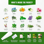 Medicinal Herb Seeds Variety Pack – Calendula, Echinacea, Lemon Balm, Hyssop & Lovage – 15 Varieties, 2950+ Non-GMO Heirloom Seeds, Indoor & Outdoor Growing