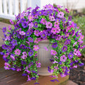 HyeFlora Artificial Flowers for Outdoors Decoration, 2Pcs Dark Purple and Purple Fake Hanging Flowers, UV & Fading Resistant, Faux Decor for Porch Patio Balcony Planter