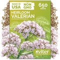 KVITER 650 Valerian Seeds (Valeriana Officinalis) – Common Valerian Herb Garden Seed Packets, Fragrant, Deer-Resistant, Non GMO Seed - Heirloom Herb Seeds for Outdoor Garden, Beds, Containers