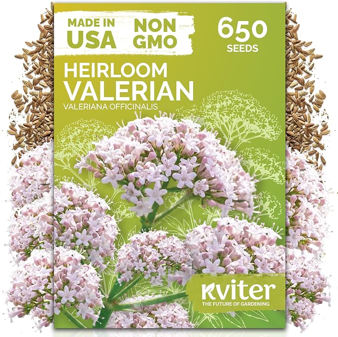 KVITER 650 Valerian Seeds (Valeriana Officinalis) – Common Valerian Herb Garden Seed Packets, Fragrant, Deer-Resistant, Non GMO Seed - Heirloom Herb Seeds for Outdoor Garden, Beds, Containers