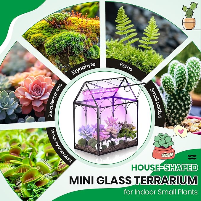 Meonum Tiny Glass Terrarium Kit with Grow Light, Venus Fly Trap Terrarium with Absorbent Mat, Timer&3 Light Modes for Succulent Live Air Plants Indoor Home Office Decor (7.1"x 4.7"x 8.7",USB Powered)
