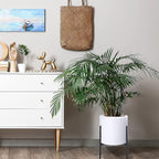 D'vine Dev Modern White Plants Pot Cylinder Planter with Heavy Duty Stand, Large 12 Inch Pot, 18.9 Inch with Stand Height, 96-T-A-3