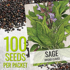 Seed Needs Rosemary & Sage Seeds for Planting Fresh Kitchen Herbs - Non-GMO Heirloom & Untreated Perennial Herb Seed to Plant a Culinary Garden Indoors or Outdoors (2 Pack Duo)