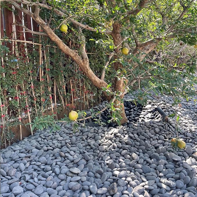 FANTIAN 20 lbs Natural Unpolished Black Rocks Mexican Beach Pebbles, 3-4 Inch Decorative Black River Rocks for Landscaping, Planters, Garden Paving, Walkways, Plant Rocks and Outdoor Decorayive Rocks