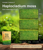 Real Live Moss for Terrariums,Jumping Spider, Reptile Habitats & Mini Landscapes – Naturally Cultivated Live Moss, Revives in 5 Minutes with Water Mist, Grows & Multiplies (3 Sheets, 3.5”x7”)