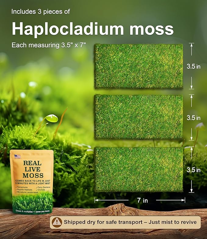 Real Live Moss for Terrariums,Jumping Spider, Reptile Habitats & Mini Landscapes – Naturally Cultivated Live Moss, Revives in 5 Minutes with Water Mist, Grows & Multiplies (3 Sheets, 3.5”x7”)