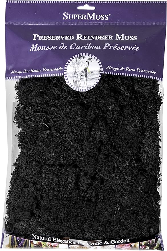 Super Moss (23151) Reindeer Moss Preserved, Black, 8oz