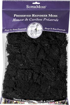 Super Moss (23151) Reindeer Moss Preserved, Black, 8oz