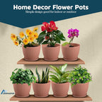 Pink 6-Inch Plant Pots with Drainage & Saucers 24 Pack, Indoor & Outdoor Planters for Houseplants, Herbs, and Flowers, Durable & Weatherproof Material, Stackable, Lightweight, Minimalist Design