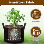 6 Pack 5 Gallon Grow Bags, Heavy Duty 300g Nonwoven Fabric Plant Pots with Reinforced Handles, Breathable Tomato Potato Vegetable Grow Bags for Garden & Patio - Black