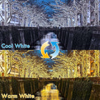 Warm White ⇋ Cool White 66Ft 200LED Christmas Fairy Lights Plug in with Remote, Waterproof String Lights Outdoor Indoor 8 Modes with Timer, Twinkle Lights for Girl's Room Garden Christmas Decorations