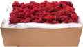 SuperMoss (21793) Reindeer Moss – Soft Preserved Moss for Home Decor, Crafts, Terrariums, Floral Design, and Wedding Decorations, 2,588 cu in, Red