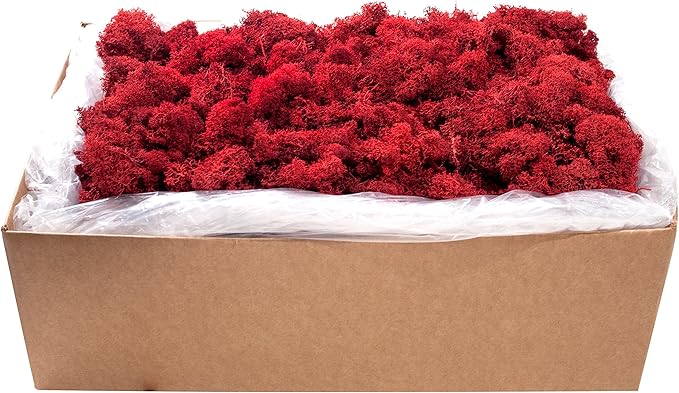 SuperMoss (21793) Reindeer Moss – Soft Preserved Moss for Home Decor, Crafts, Terrariums, Floral Design, and Wedding Decorations, 2,588 cu in, Red