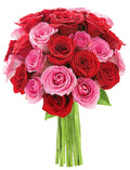 KaBloom - Romeo and Juliet Pink and Red Roses (Two Dozen- Fresh Flowers for Birthday, Valentine's & Mother's Day