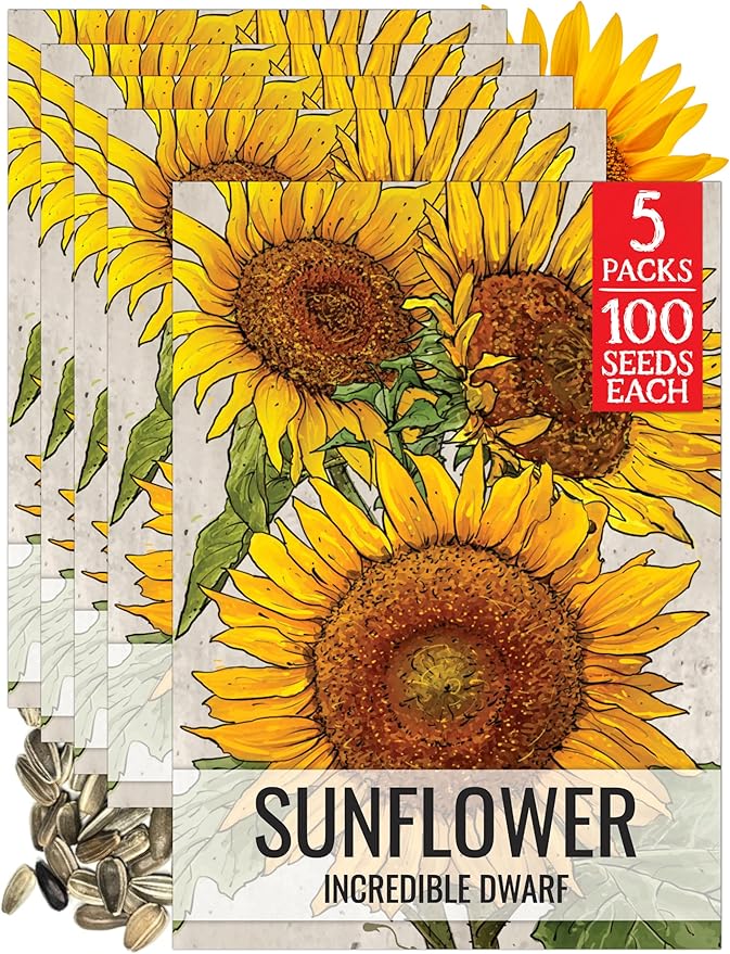 Seed Needs Dwarf Sunflower Seeds for Planting Incredible Sunflowers - Heirloom & Open Pollinated Flowers to Plant an Outdoor Wildflower Garden to Attract Beneficial Pollinators (5 Packs)