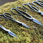 KAKURI Bonsai Twig Shears Made in Japan 8", Japanese Carbon Steel Blade, Precision Bonsai Scissors for Fine Pruning and Trimming