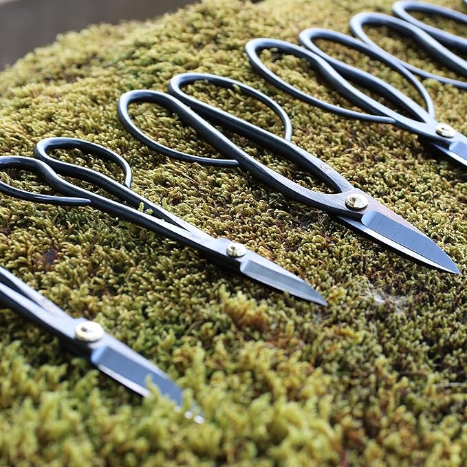 KAKURI Bonsai Twig Shears Made in Japan 8", Japanese Carbon Steel Blade, Precision Bonsai Scissors for Fine Pruning and Trimming