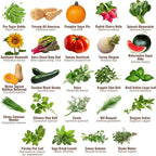 Open Seed Vault | 44 Heirloom Seed Types Variety Pack Bundle | 2026 Season | Non GMO Herbs, Vegetable and Fruit Seeds | Planting Outdoor & Indoor Garden | Gardening Starter Kit High Yield Produce