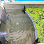HOZOE Floating Plant Fence for Aquarium, Separates Plants, Automatically Adjusts Height with Water Level, Suitable for Most Aquariums. (1 PCS)