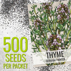 Seed Needs Sweet Marjoram & Thyme Seeds for Planting Fresh Kitchen Herbs - Non-GMO Heirloom & Untreated Perennial Herb Seed to Plant a Culinary Garden Indoors or Outdoors (2 Pack Duo)