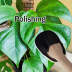 House Plant Leaf Cleaner - 3in1 Leaf Shine Set Microfiber Gloves for Indoor Plant Dusting
