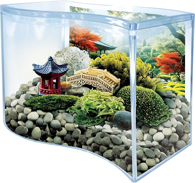 Toys By Nature Bonsai Moss & Rock Garden, Mini Wave Terrarium Kit with Real Plant, Beginner-Friendly Terrariums and Live Indoor Plants Decor